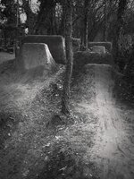 om-1 mark ii-3027835.resized.jpg