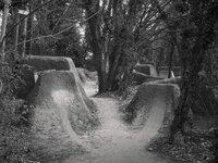 om-1 mark ii-3027845.resized.jpg