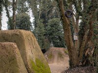 om-1 mark ii-3027786_01.resized.jpg