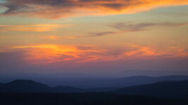 IMG_7302-social.jpg IMG_7302-social.jpg