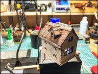 Tree House Roof-2.jpg Tree House Roof-2.jpg