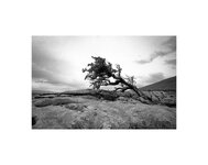 Sleights Pasture Yorkshire Dales national Park.jpg