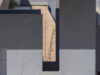 om-1 mark ii-4040569.jpg