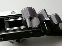 6 shots in.jpg 6 shots in.jpg