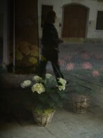 om-1 mark ii-4060767_01.resized.jpg