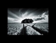 Willy Howe Ancient Burial Chamber Yorkshire Wolds.jpg
