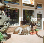 barber shop moose.jpg