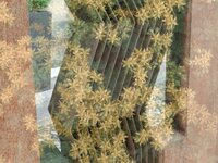 om-1 mark ii-4070846.resized.jpg