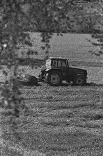 Kodak BW XX Sigma-26.jpeg