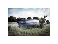 Old Boats on Grass.jpg