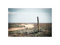 Old Wooden Posts on the Sand.jpg