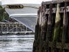 pier.jpg
