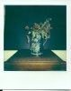 Rhona Flowers Polaroidsm.jpg