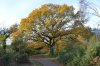 DSC_0079b.JPG