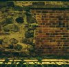 Walls.jpg Walls.jpg