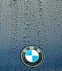 bmw hood 3.jpg