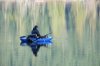 flyfisherLake.jpg