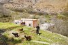 the little shepard girl, in the Atlas mountains_DSF3974.jpg