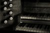 organ.jpg