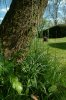 DSCF0796.jpg