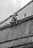 Watchdog in Italy.jpg