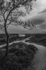 SDIM0006-Edit.jpg SDIM0006-Edit.jpg