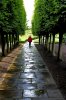 In Kew Garden, Shirl is walking 1.jpg