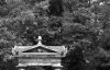 DSCF0681.jpg