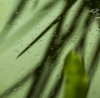 _DSF1640.jpg _DSF1640.jpg