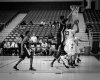 ZoneFocus-20141115_005.JPG