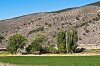 _IDL2927_1.jpg