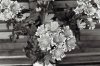 Flowers2.jpg