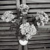 Flowers3.jpg