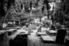 Cemetery_Charleston-1.jpg Cemetery_Charleston-1.jpg