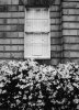 window.jpg window.jpg