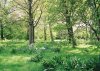 Botanics.jpg Botanics.jpg