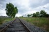 The line - raw-1.jpg