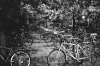bikes.jpg bikes.jpg