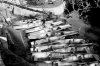 rowing boats.jpg rowing boats.jpg