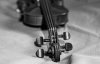 Violin-5.jpg Violin-5.jpg