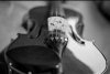 Violin-10.jpg Violin-10.jpg