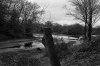 Wanstead Park-6.jpg