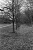 Wanstead Park-7.jpg