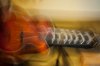 Shoogly Guitar.jpg Shoogly Guitar.jpg