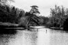 Point_of_view_(1_of_1).jpg