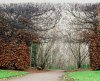 Entrance to Fairy Wood.jpg Entrance to Fairy Wood.jpg