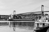 under the bridge.jpg under the bridge.jpg