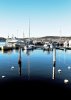 the quay side.jpg the quay side.jpg