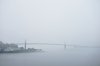 fog at home.jpg