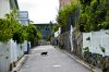 in the streets of Marstrand.jpg